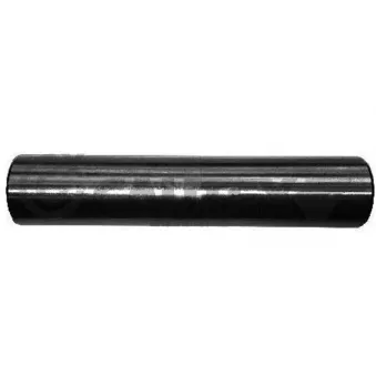 Suspension, jambe d'essieu arrière droit CAUTEX 031445
