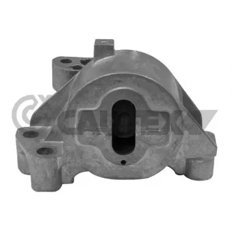 Support moteur CAUTEX 031494