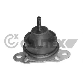 Support moteur CAUTEX 031496