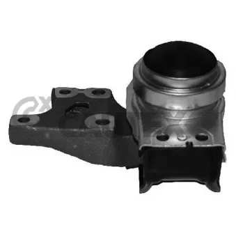 Support moteur CAUTEX 031506