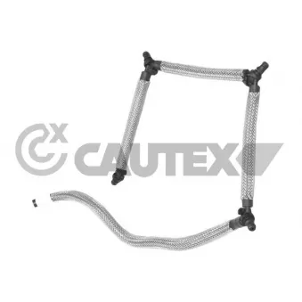 Tuyau, carburant de fuite CAUTEX 031707