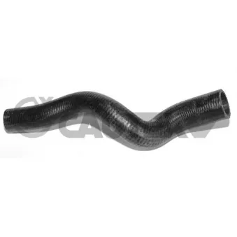 Durite de radiateur CAUTEX 035070