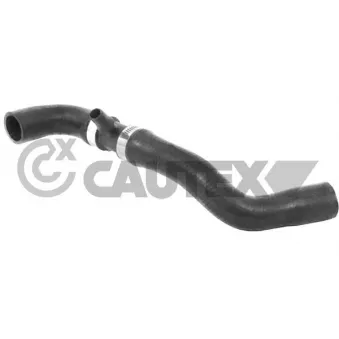 Durite de radiateur CAUTEX 035074