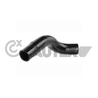 Durite de radiateur CAUTEX 035079