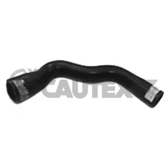 Durite de radiateur CAUTEX 036019