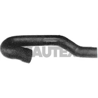 Durite de radiateur CAUTEX 036021
