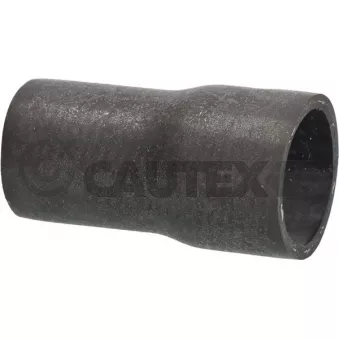 Durite de radiateur CAUTEX 036023