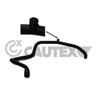 Durite de radiateur CAUTEX 036024
