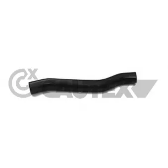 Durite de radiateur CAUTEX 036029