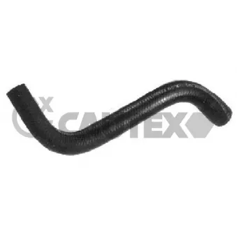 Durite de radiateur CAUTEX 036031