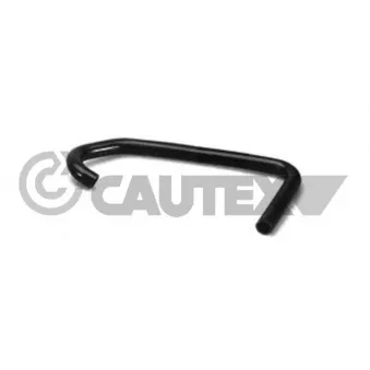 Durite de radiateur CAUTEX 036040
