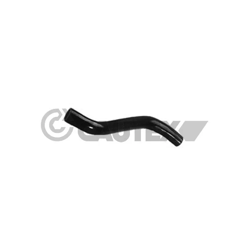 Durite de radiateur CAUTEX 036041