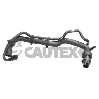 Durite de radiateur CAUTEX 036052