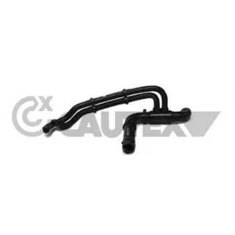 Durite de radiateur CAUTEX 036054
