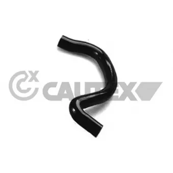Durite de radiateur CAUTEX 036078