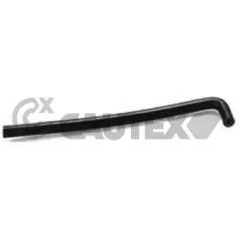 Durite de radiateur CAUTEX 036084