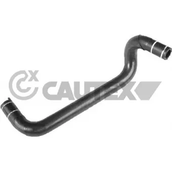 Durite de radiateur CAUTEX 036091