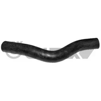 Durite de radiateur CAUTEX 036098