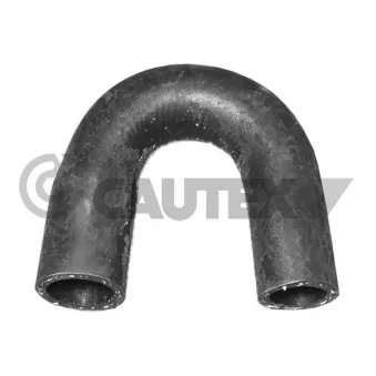 Durite de radiateur CAUTEX 036101