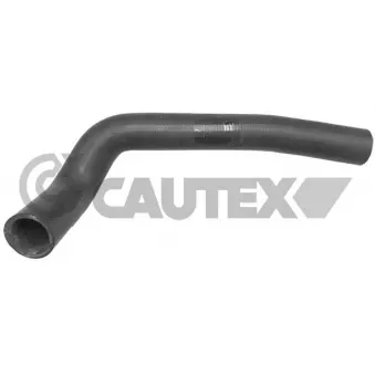 Durite de radiateur CAUTEX 036109