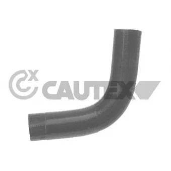 Durite de radiateur CAUTEX 036111