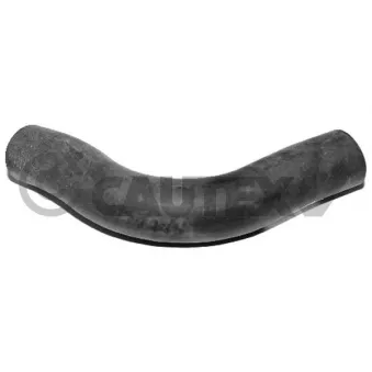 Durite de radiateur CAUTEX 036112
