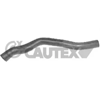 Durite de radiateur CAUTEX 036123