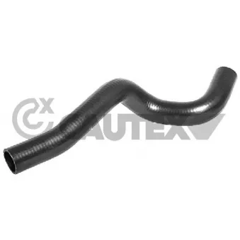 Durite de radiateur CAUTEX 036124