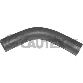 Durite de radiateur CAUTEX 036146