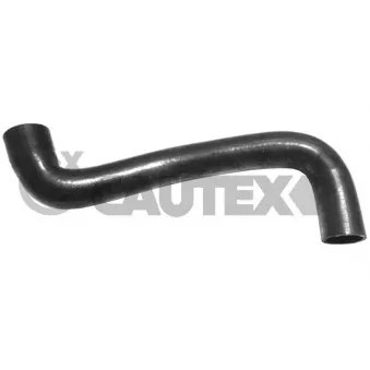 Durite de radiateur CAUTEX 036150