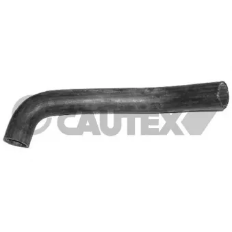 Durite de radiateur CAUTEX 036151