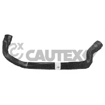 Durite de radiateur CAUTEX 036153