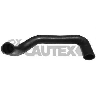 Durite de radiateur CAUTEX 036154