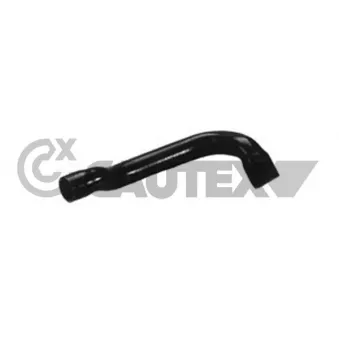 Durite de radiateur CAUTEX 036163
