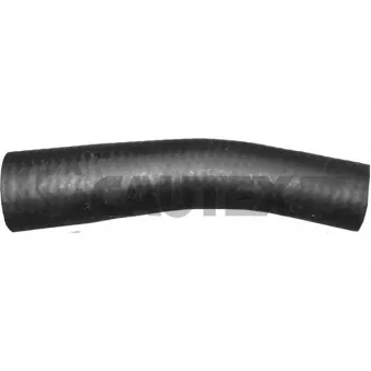 Durite de radiateur CAUTEX 036175