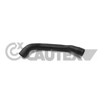 Durite de radiateur CAUTEX 036178