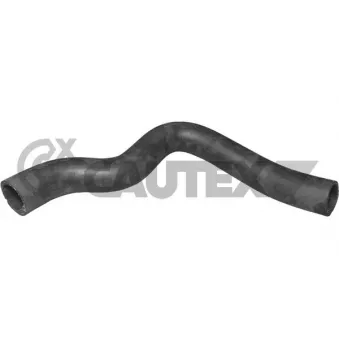 Durite de radiateur CAUTEX 036201