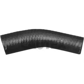 Durite de radiateur CAUTEX 036222