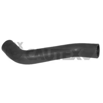 Durite de radiateur CAUTEX 036242