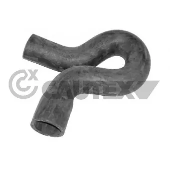 Durite de radiateur CAUTEX 036243
