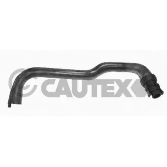 Durite de radiateur CAUTEX 036246