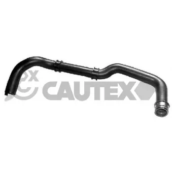 Durite de radiateur CAUTEX 036351