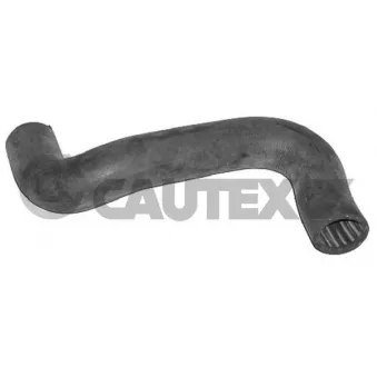 Durite de radiateur CAUTEX 036360