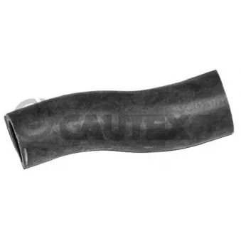 Durite de radiateur CAUTEX 036367