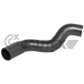 Durite de radiateur CAUTEX 036370