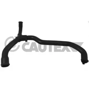 Durite de radiateur CAUTEX 036381