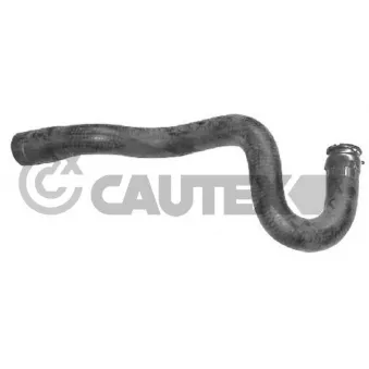 Durite de radiateur CAUTEX 036385