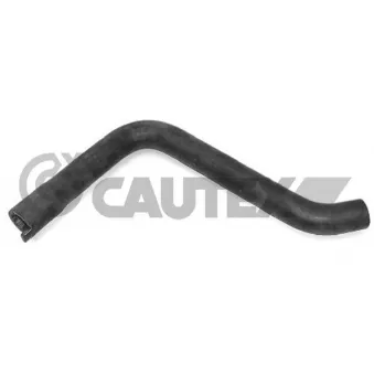 Durite de radiateur CAUTEX 036398