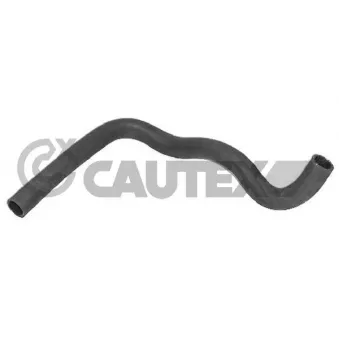 Durite de radiateur CAUTEX 036407