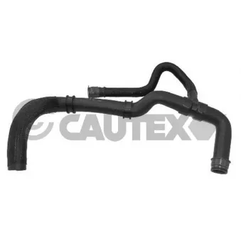 Durite de radiateur CAUTEX 036411